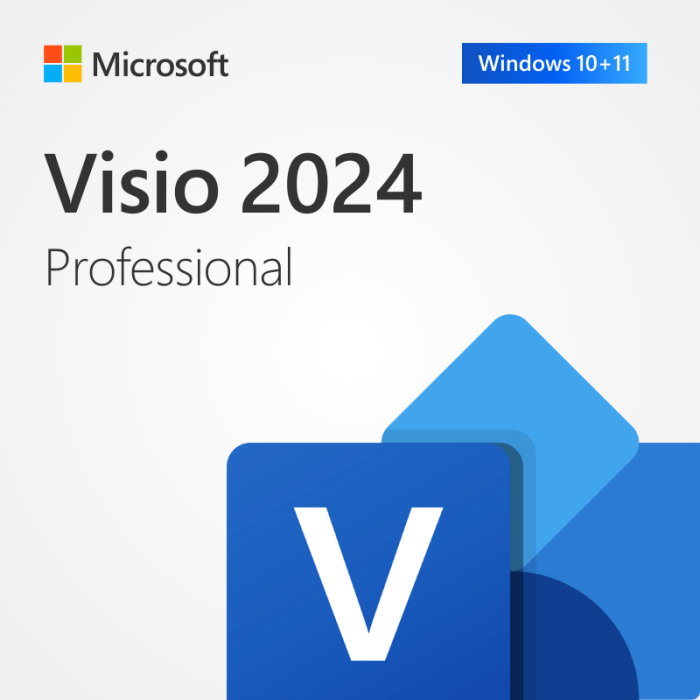 Licencia Visio Pro 2024 para 1 PC (Reinstalable)